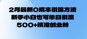2月最新0成本引流方法,新手小白也可单日引流500+精准创业粉-学习资源社