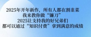 2025年开年新作,所有人都在割韭菜,我来教你做“镰刀” 2025让支持我的好兄弟们都可以通过“知识付费”拿到满意的成绩【揭秘】-学习资源社