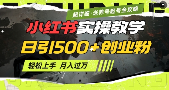 2月小红书最新日引500+创业粉实操教学【超详细】小白轻松上手，月入1W+，附小红书养号起号SOP-学习资源社