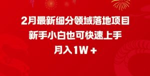 2月最新细分领域落地项目,新手小白也可快速上手,月入1W-学习资源社