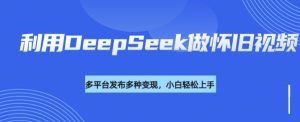 利用DeepSeek做怀旧视频,流量号多渠道变现能力强-学习资源社