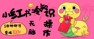 小红书冷知识账号,无脑复制粘贴,5分钟即可变现3张-学习资源社