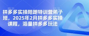 拼多多实操陪跑特训营弟子班,2025年2月拼多多实操课程,海量拼多多玩法-学习资源社