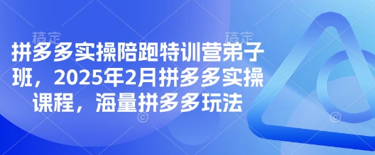 拼多多实操陪跑特训营弟子班，2025年2月拼多多实操课程，海量拼多多玩法-学习资源社