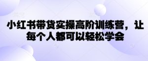 小红书带货实操高阶训练营,让每个人都可以轻松学会-学习资源社
