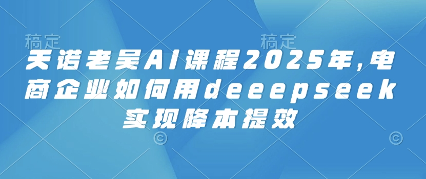 天诺老吴AI课程2025年，电商企业如何用deeepseek实现降本提效-学习资源社