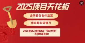 2025项目天花板普通人如何通过知识付费,实现财F自由【揭秘】-学习资源社