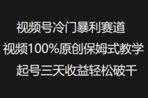视频号冷门暴利赛道视频100%原创保姆式教学起号三天收益轻松破千-学习资源社