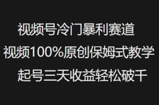 视频号冷门暴利赛道视频100%原创保姆式教学起号三天收益轻松破千-学习资源社