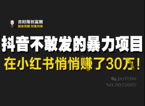 抖音不敢发的暴利项目,在小红书悄悄挣了30W-学习资源社