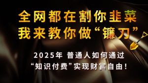 全网都在割你韭菜,我来教你做镰刀,2025普通人如何通过知识付费,实现财F自由【揭秘】-学习资源社