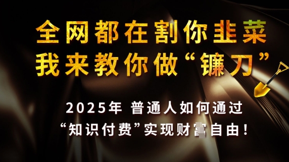 全网都在割你韭菜，我来教你做镰刀，2025普通人如何通过知识付费，实现财F自由【揭秘】-学习资源社