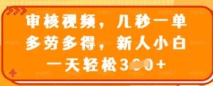 审核视频,几秒一单,多劳多得,新人小白一天轻松3张【揭秘】-学习资源社