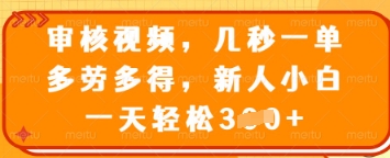 审核视频，几秒一单，多劳多得，新人小白一天轻松3张【揭秘】-学习资源社
