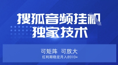 【搜狐音频挂G】独家技术，可矩阵可放大，红利期稳定月入8k【揭秘】-学习资源社