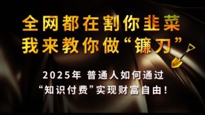 全网都在割你韭菜,我来教你做镰刀,2025普通人如何通过知识付费,实现财F自由【揭秘】-学习资源社