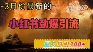 小红书超劲爆引流手段,图文日引300+轻松变现1W-学习资源社