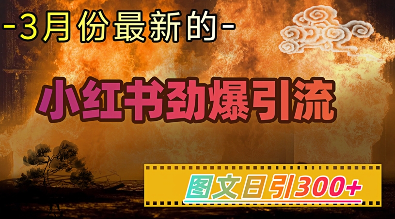 小红书超劲爆引流手段，图文日引300+轻松变现1W-学习资源社
