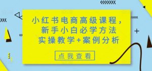 小红书电商高级课程,新手小白必学方法,实操教学+案例分析-学习资源社