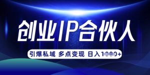 云帆·创业ip合伙人打造3.0,从0到1教你做网创,实现月入过W-学习资源社