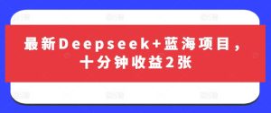 最新Deepseek+蓝海项目,十分钟收益2张-学习资源社