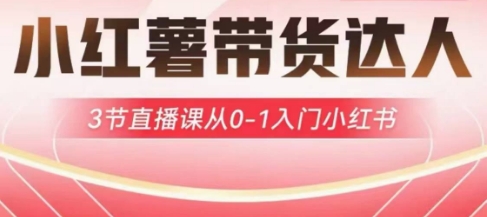 小红薯达人带货启航计划，3节直播课从0-1入门小红书-学习资源社