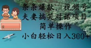 条条爆款,视频号夫妻搞笑对话项目,简单操作,小白轻松日入3张+-学习资源社