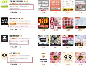 0成本虚拟项目实战手把手教你落地,单店月入5k-学习资源社