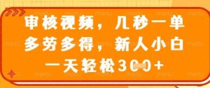 最新审核视频,几秒一单,多劳多得,新人小白一天轻松3张【揭秘】-学习资源社