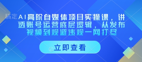 AI高阶自媒体项目实操课，讲透账号运营底层逻辑，从发布视频到规避违规一网打尽-学习资源社
