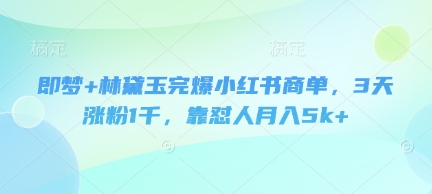 即梦+林黛玉完爆小红书商单，3天涨粉1千，靠怼人月入5k+-学习资源社