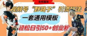 视频号“野路子”玩法,评论区疯狂截流,一套模板单日单号引流50+创业粉-学习资源社