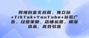 跨境创富实战营,独立站+TikTok+YouTube+谷歌广告,经营策略,店铺运营,精准选品,高效引流-学习资源社