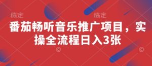 番茄畅听音乐推广项目，实操全流程日入3张-学习资源社