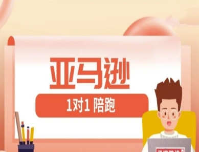 亚马逊1对1陪跑课(FBA/FBM精铺)跨境亚马逊教程-学习资源社