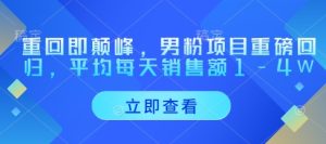重回即颠峰,男粉项目重磅回归,平均每天销售额1-4W-学习资源社