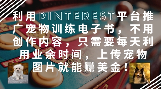 利用Pinterest平台推广宠物训练电子书，不用创作内容，只需要每天利用业余时间，上传宠物图片就能挣美金!-学习资源社
