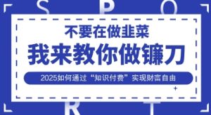 韭菜生涯终结者,我来教你做镰刀,2025如何通过“知识付费”实现财F自由【揭秘】-学习资源社