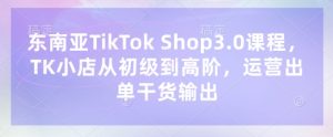 东南亚TikTok Shop3.0课程,TK小店从初级到高阶,运营出单干货输出-学习资源社