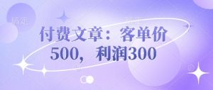 付费文章:客单价500,利润300-学习资源社