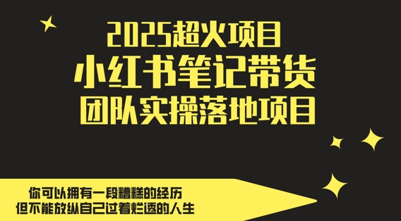 2025超火项目，副业最佳选择，小红书笔记带货团队实操落地项目，，轻松日入5张-学习资源社