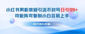 小红书男粉常规引流不封号日引99+变现简单 可矩阵可复制小白容易上手-学习资源社