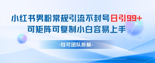小红书男粉常规引流不封号日引99+变现简单 可矩阵可复制小白容易上手-学习资源社