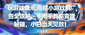 玩游戏挣米,微信小游戏刷广告全攻略,手把手教你变现秘籍,小白当天见效-学习资源社