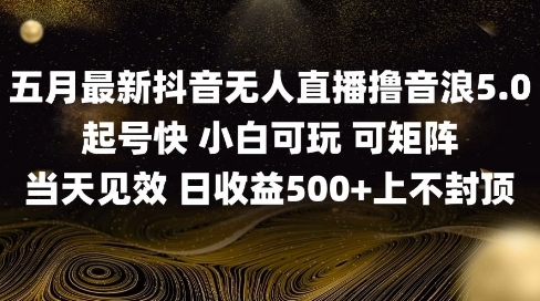 2025五月最新无人直播撸音浪单日产出5张+实操教程【揭秘】-学习资源社