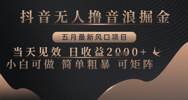 抖音无人撸音浪掘金，五月最新风口项目，当天见效，日收益多张，小白可做简单粗暴可矩阵【揭秘】-学习资源社