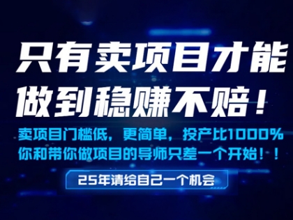只有卖项目才能做到稳挣不赔，门槛低，更简单，你也可以年入百个W【揭秘】-学习资源社