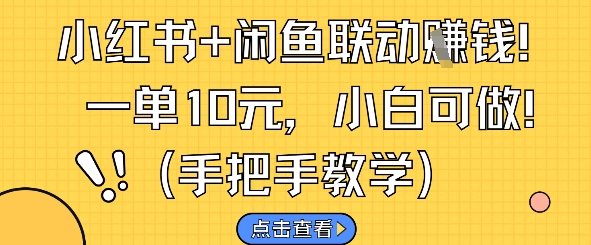 小红书+闲鱼联动挣钱，一单10元，小白可做-学习资源社