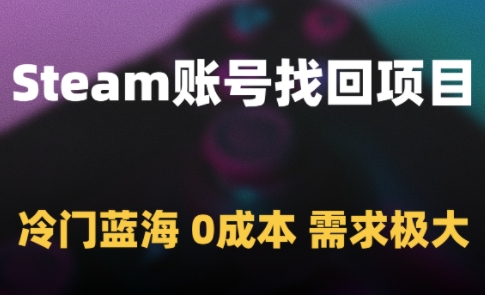 Steam账号找回项目，冷门蓝海，0成本，需求极大-学习资源社