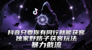 抖音只要你有同行就能获客,独家野路子获客玩法,暴力截流【揭秘】-学习资源社